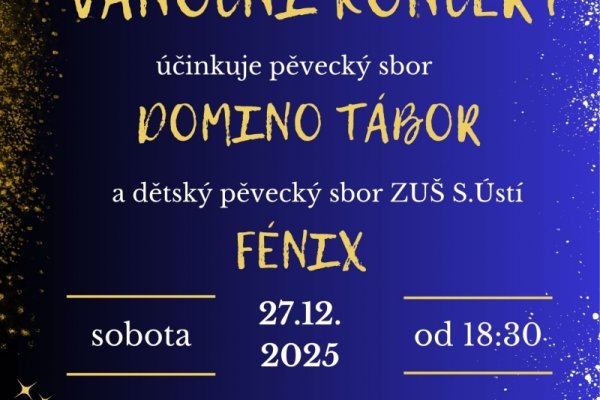 Vánoční koncert - Domino Tábor a Fénix Vánoční koncert - Domino Tábor a Fénix